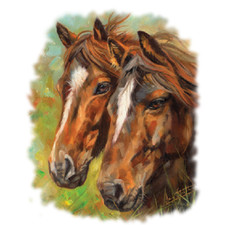 Horse Couple Sweatshirt/Longsleeved Size/Color