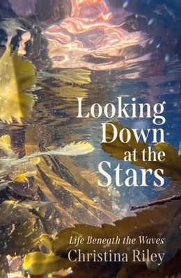 Looking Down at the Stars by Christina Riley (Hardback Book)