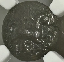 Thrace Maroneia AE13 4th Century BC Horse Grape Arbor NGC Ch VF