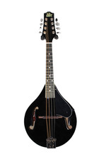 Rogue RM-100A Acoustic A body Mandolin  R7192
