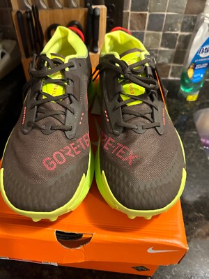 NIKE PEGASUS TRAIL 3 GTX MENS SHOES