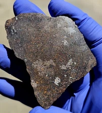 Meteorite**NWA 13917, Winonaite**17.646 slice, Rare Primitive Achondrite!!!