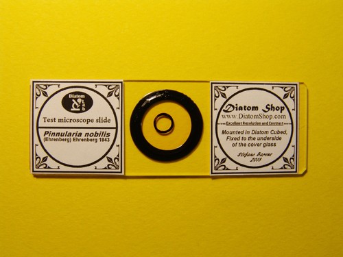 test diatom: pinnularia nobilis, microscope slide for double