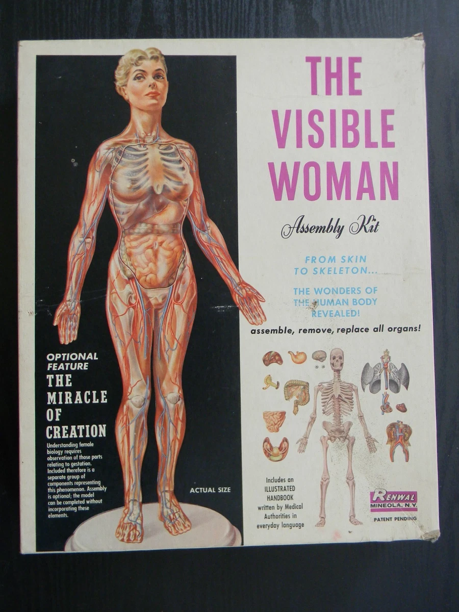 visible woman products for sale | eBay