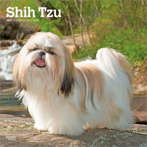 Shih Tzus Calendar 2027, Wall Calendars, Month To View, Dogs, Gift - Image 3