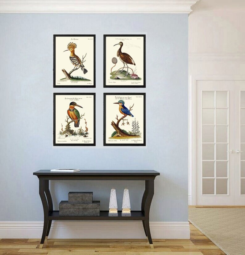Vintage Birds Wall Art Prints Set of 4 Beautiful Bird Illustration Blue ...