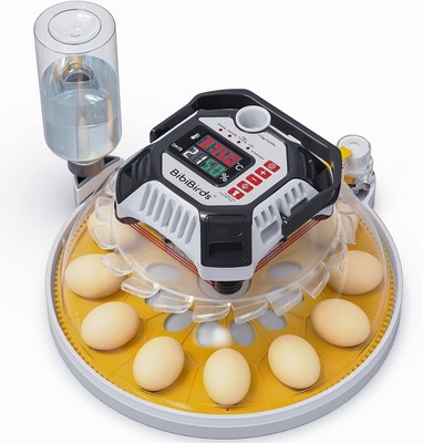 Incubators for Hatching Eggs with Automatic Humidity - MS12,Egg Incubator