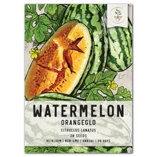 Orangeglo Watermelon Seeds For Planting (Citrullus lanatus)