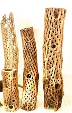 6 Cholla Wood For Aquariums, Terrariums, Air Plant Holders, more