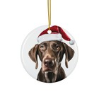 Hanging Ceramic Christmas Tree Ornament - Plott Hound Design