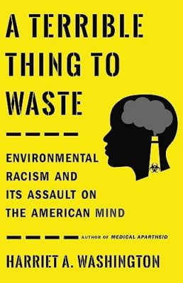 A Terrible Thing to Waste: Environmental Racism and Its - Paperback / softback N