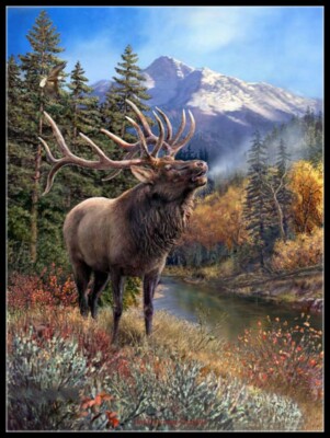 Bull Elk - DIY Chart Counted Cross Stitch Patterns Needlework DMC Color      