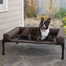 Outdoor Original Bolster Pet Cot Elevated Dog Bed, Chocolate, Medium