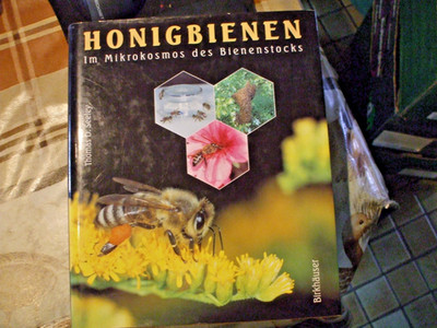 Thomas D. Seeley  Honigbienen