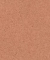 Rasch Vliestapete Factory V Beton Unitapete 520880