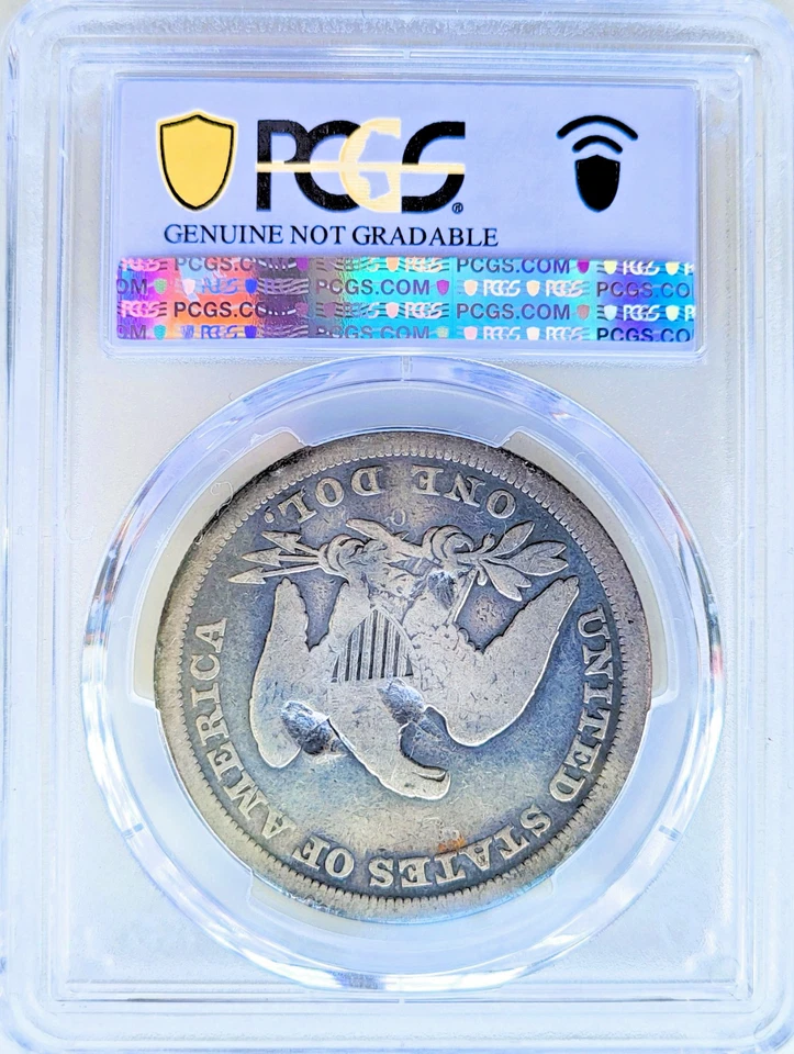 DÓLAR LIBERTAD SENTADA 1846-O - GRADUADO PCGS GENUINO, DAÑOS EN EL REVERSO - BUENOS DETALLES Foto 2 de 3