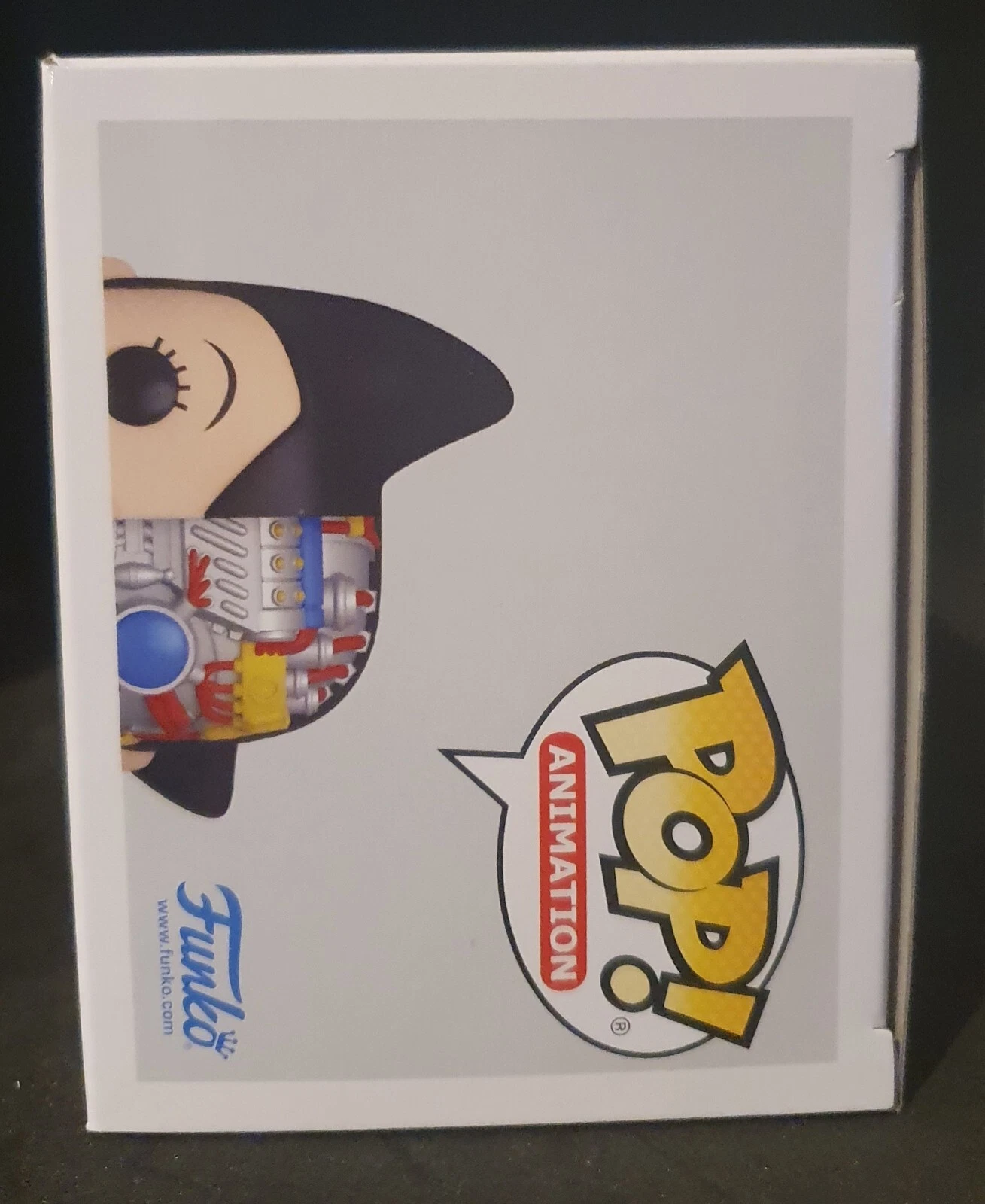 Picture 5 of 6