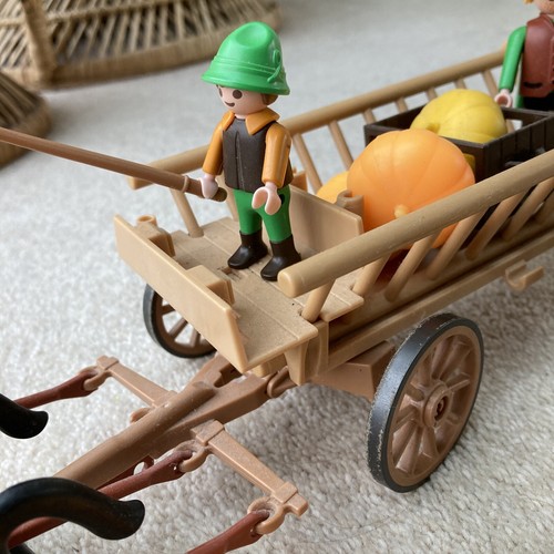 Carro de Caballo y Calabaza de Granjero Playmobil 3735 de Colección Raro con Conejos y Pollos - Imagen 8 de 13