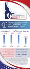 Idaho Stats Card Brochure (Pack of 50)