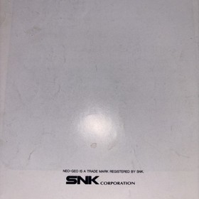 Baseball Stars Professional SNK (Neo Geo AES) Manual Only Nice Shape! 1990