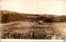 1912 RPPC Parma Michigan Countryside Two Men in Field Real Photo Postcard