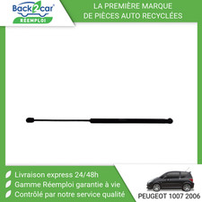 Verin de hayon / de capot Peugeot 1007