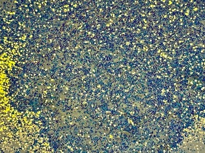 ''Heaven's Dust'' Fine Opal Glitter