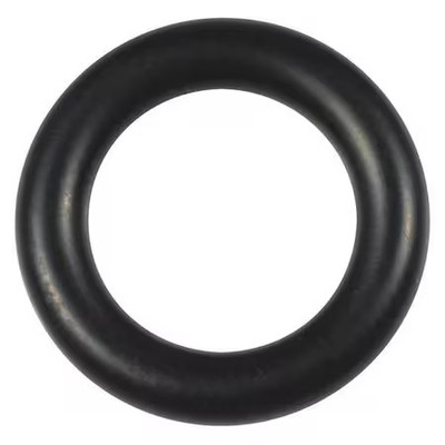 Dayton Pporgvbs110g Compression Nut O-Ring, For 4Ayd4