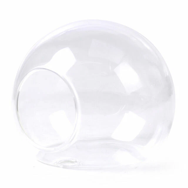 Flower Decorative Vases