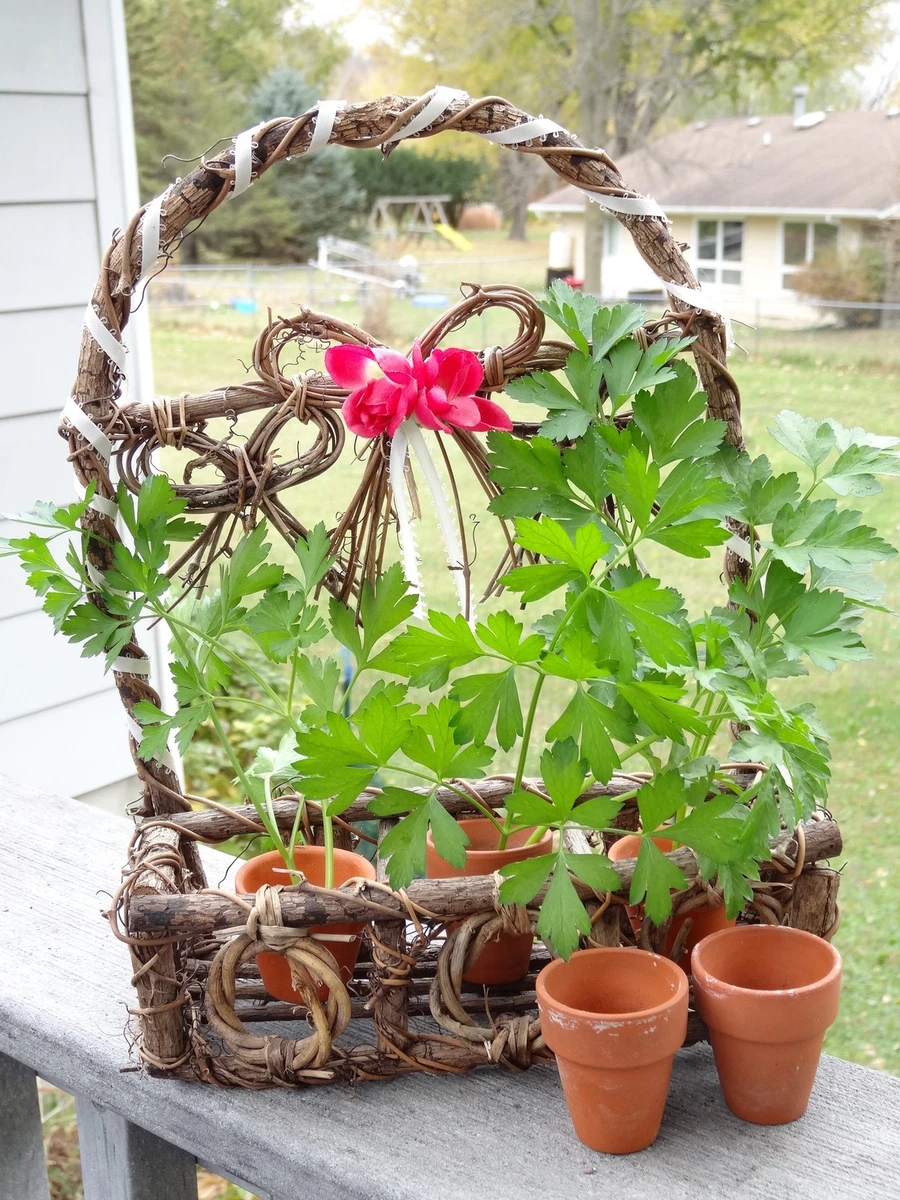 Mini on sale flower pots
