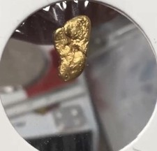 .456 Gram Nubia Egypt  Gold Nugget- AU - XRF 23k+ &ldquo; WILD MUSHROOM&rdquo; Gold Nugget