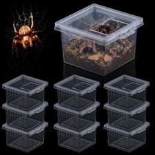 10 Pcs Insect Spider Terrariums Breeding Box Hatching Container Transparent