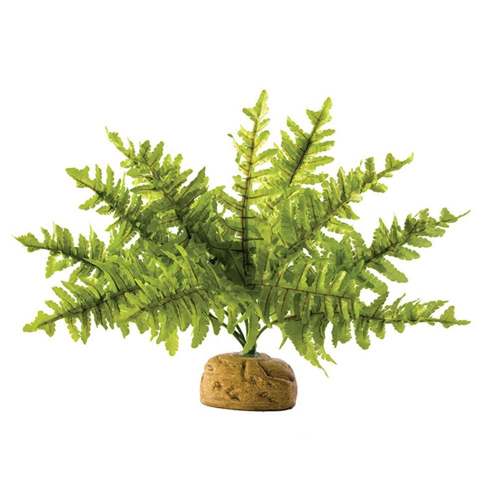 Exo Terra Reptile Vivarium Decor Boston Ferns