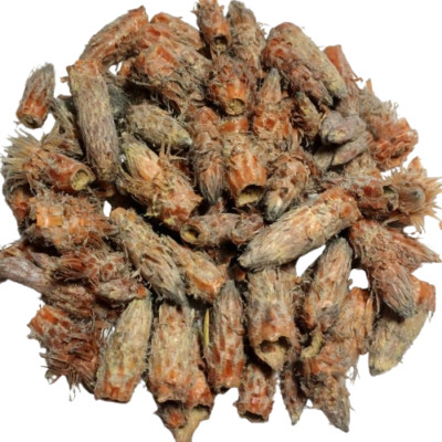Dried Pine Buds    Natural Herbal Remedy / Premium Quality / Free Shipping