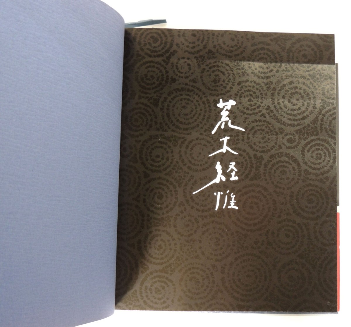 流石、 RYUUSEKI Nobuyoshi Araki 1999 no.10 Nobuyoshi Araki Shino Arakiss 10 Hardcover 1st Edition (2000) | eBay