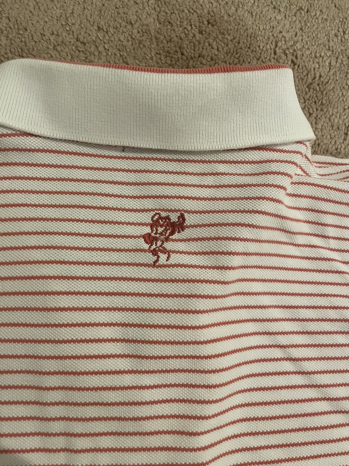 Picture 6 of 6