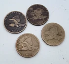 4 Flying Eagles 1C One Cent Circulated Lot.H34