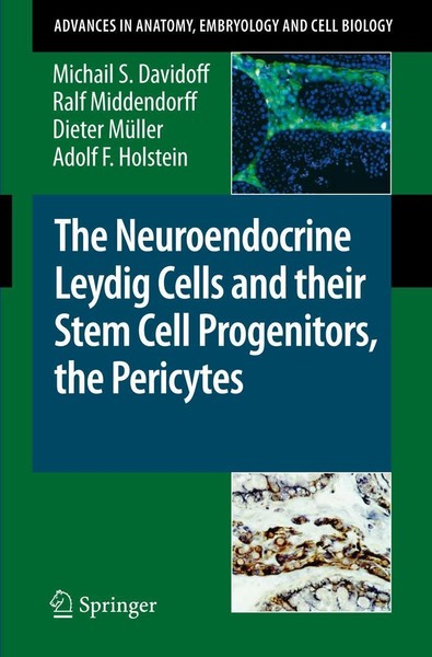 The Neuroendocrine Leydig Cells And Their Stem Cell Progenitors, The Pericytes D-image