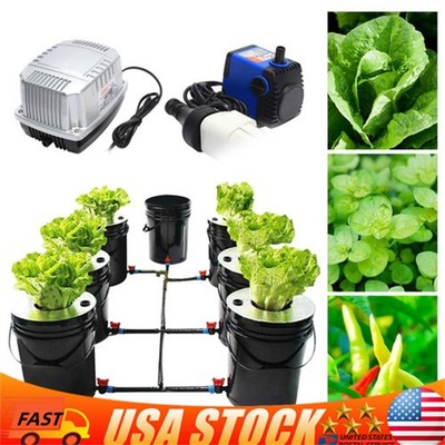DWC 5 Gallons 6 Buckets Hydroponics Growing System Recirculating Growing Kit US