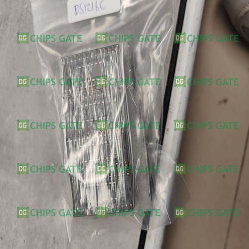 1pcs/lot DS1216E DS1216 DIP-32 In Stock SmartWatch RAM (DS1216B/C/D/H