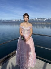 coya collection pink blush off the shoulder 3D butterfly corset dress