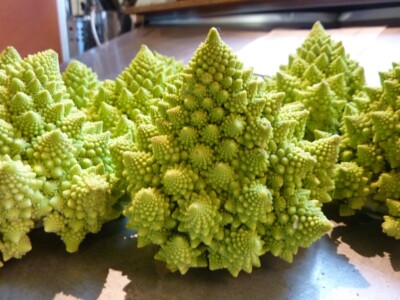 Cauliflower seёds, 0,5g Romanesco Natalino cabbage seёds, organic #421+TRACK  