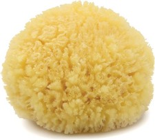 Natural Sea Sponge Bath-Shower Large 1 Count By Bass Brushes Natural Sea Sponge