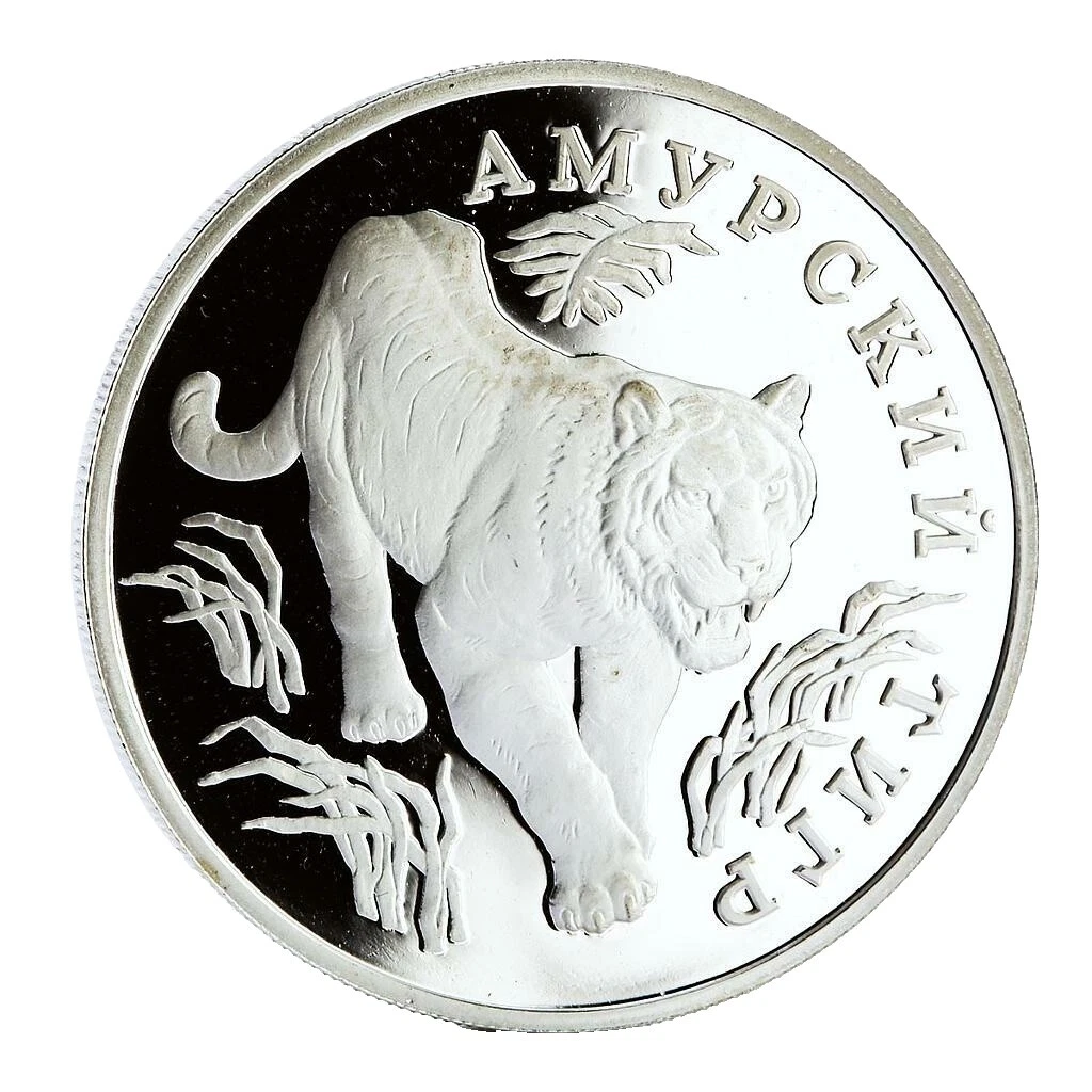 1993 Silver Ungraded Russian Coins