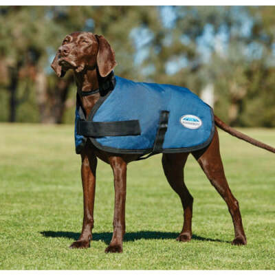 Weatherbeeta ComFiTec Classic Parka Dog Coat FREE GIFT - CLOSEOUT