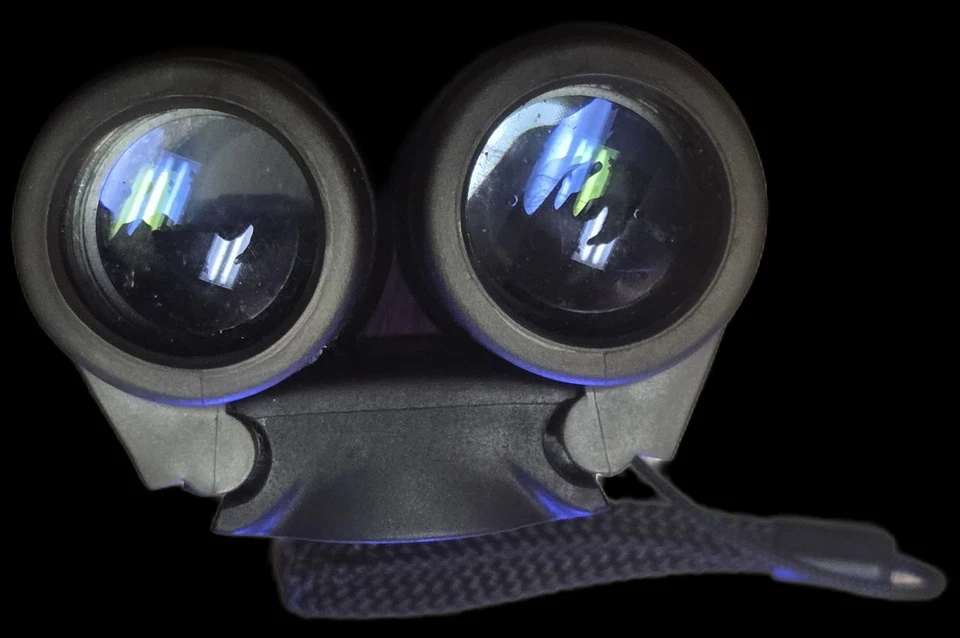 DISCOVERY 12×25 BAK-4 BINOCULARS 2003 DCI WITH CASE - Image 4 of 4