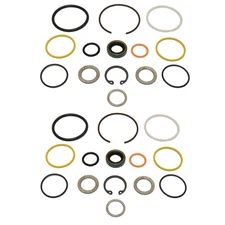 Qty 2: Cylinder Seal Kit Fits Ford/New Holland Replaces C5NN3N713A
