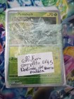Lot Pokémon  EV4.5 Destinées de paldéa - collection complète des 81 reverses fr