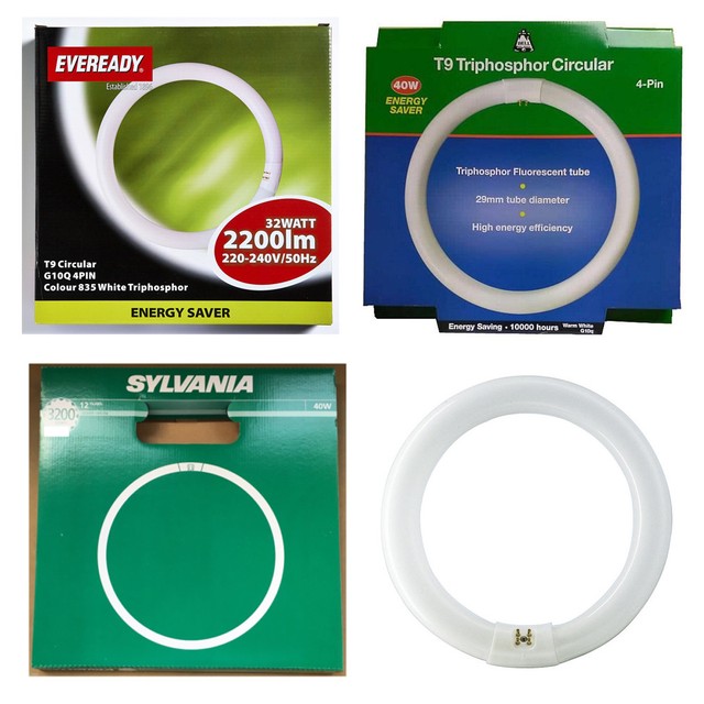 Branded 4 Pin Circular T9 Fluorescent Round Tube 22w 32w 40w or 60w