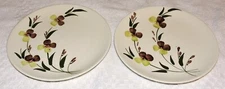 Blue Ridge Southern Potteries Inc Sunny Spray Pattern Luncheon Plates 2 each